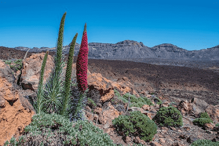 A view on Gran Canaria