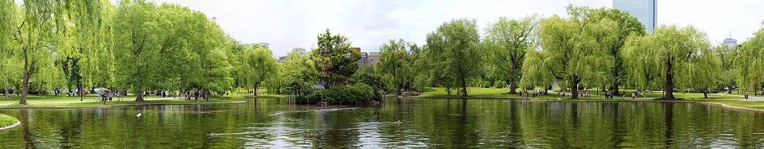 Boston Commons Park