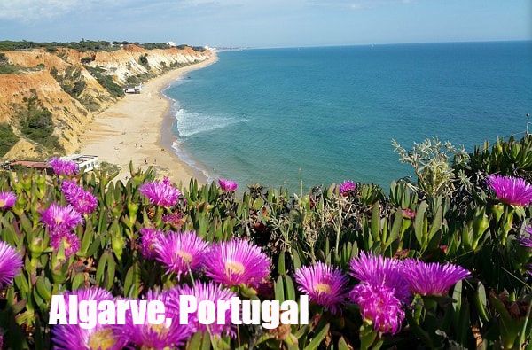 Car Rental in Algarve, Portugal. Flowers on the Beach